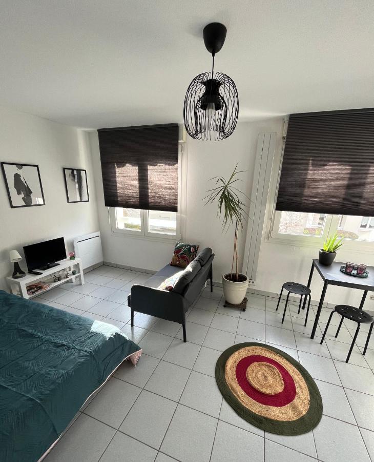 Zen-Itude Apartment Strasbourg Ngoại thất bức ảnh