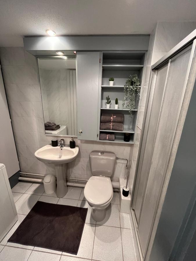 Zen-Itude Apartment Strasbourg Ngoại thất bức ảnh