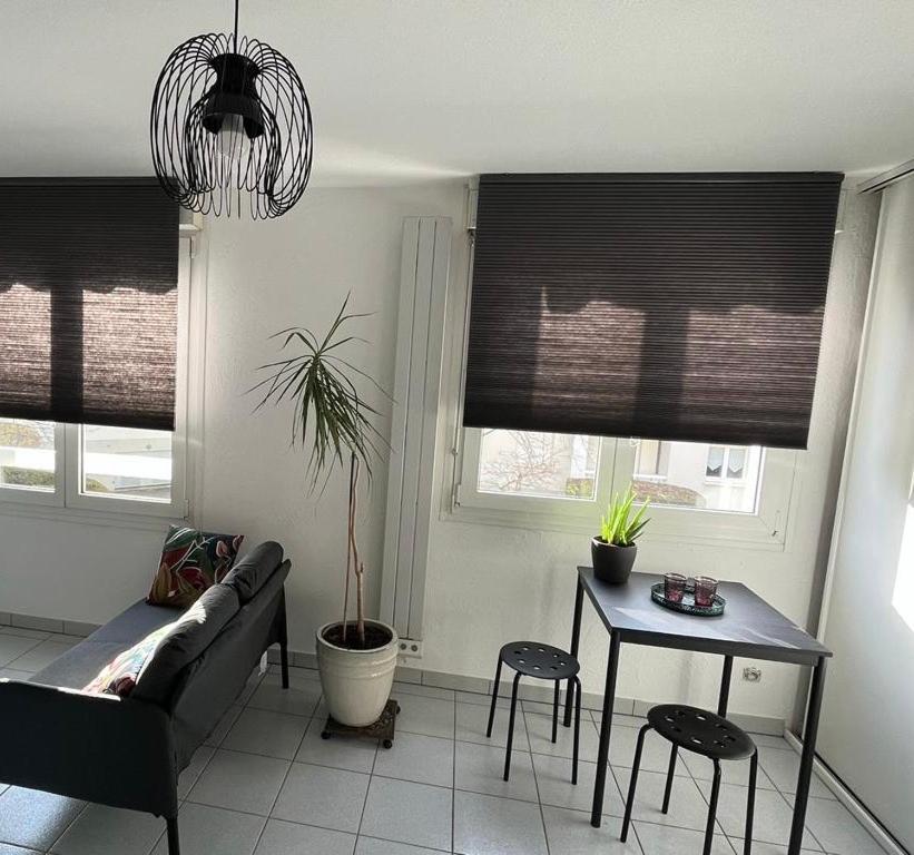 Zen-Itude Apartment Strasbourg Ngoại thất bức ảnh